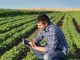 Campo Digital: Facebook lança programa para auxiliar empresas de pequeno e médio porte no ramo do agronegócio