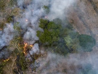Destaques do dia; confira últimas notícias: Meio Ambiente: Amazônia tem setembro com maior número de queimadas desde 2010 e mais!