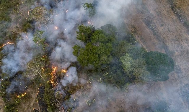 Destaques do dia; confira últimas notícias: Meio Ambiente: Amazônia tem setembro com maior número de queimadas desde 2010 e mais!