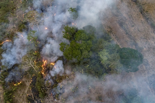 Destaques do dia; confira últimas notícias: Meio Ambiente: Amazônia tem setembro com maior número de queimadas desde 2010 e mais!